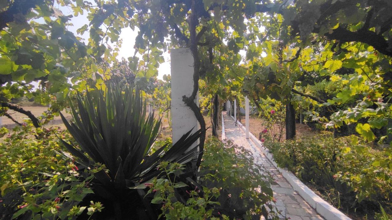 Morin Grey Casa En El Corazon De La Ribeira Sacra Villa Monforte De Lemos Exterior photo
